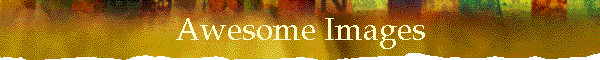 top50bnr1.gif (2625 octets)