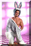 bunnyboy12.jpg (59519 octets)