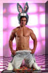 bunnyboy13.jpg (59925 octets)