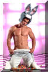 bunnyboy14.jpg (60149 octets)