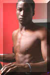 ebony010.jpg (63843 octets)