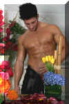justin041.jpg (110020 octets)