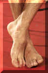 kayklima054.jpg (47522 octets)