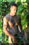 mattsinger316.jpg (54801 octets)