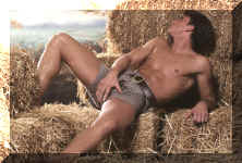 ricky070.jpg (170843 octets)