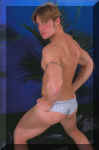 shane13.jpg (28205 octets)