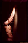 stevejordan27.jpg (27214 octets)