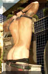 thiagocampos061.jpg (66789 octets)
