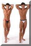 twins037.jpg (71048 octets)