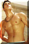 victorlima068.jpg (57427 octets)