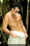 vinny072.jpg (68484 octets)